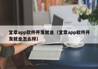 宜章app软件开发就业（宜章app软件开发就业怎么样）