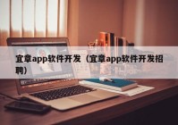 宜章app软件开发（宜章app软件开发招聘）