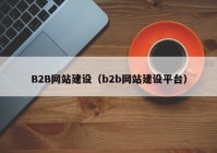 B2B网站建设（b2b网站建设平台）