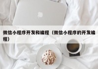 微信小程序开发和编程（微信小程序的开发编程）