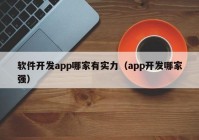 软件开发app哪家有实力（app开发哪家强）