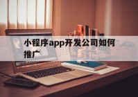 小程序app开发公司如何推广(小程序app开发公司如何推广赚钱)