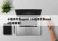 小程序开发appid（小程序开发appid在哪里看）