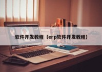 软件开发教程（erp软件开发教程）