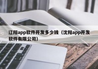 辽阳app软件开发多少钱（沈阳app开发软件有限公司）