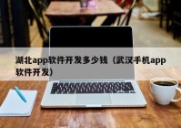 湖北app软件开发多少钱（武汉手机app软件开发）