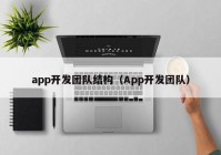 app开发团队结构（App开发团队）