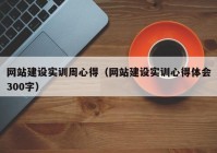 网站建设实训周心得（网站建设实训心得体会300字）