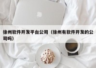 徐州软件开发平台公司（徐州有软件开发的公司吗）