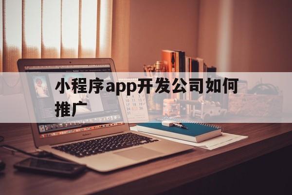 小程序app开发公司如何推广(小程序app开发公司如何推广赚钱)